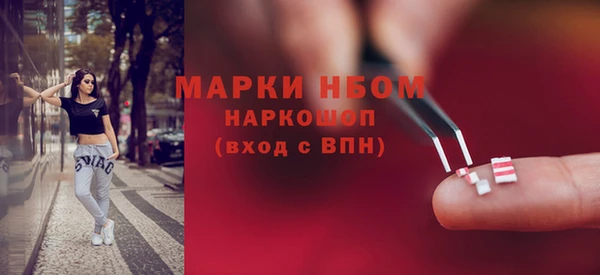 PSILOCYBIN Козловка