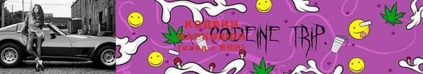 PSILOCYBIN Козловка