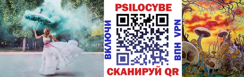 Купить закладки  Волоколамск  Псилоцибиновые грибы Magic Shrooms 